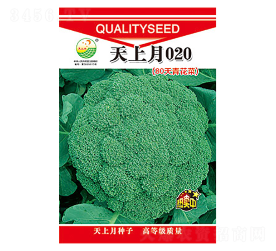 mN-020-̫NI(y)