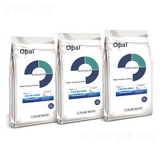 OPALaˮܷ-W㘷