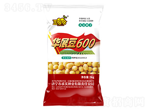 Aչ600--󌍷NI(y)