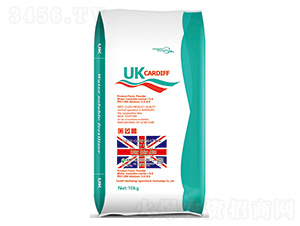 Ӣ(gu)UK-CardiffϷ~-Ϸ 