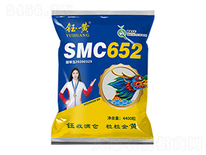 SSMC652-׷N-̶NI(y)