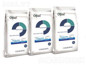 OPALa(chn)ˮܷ-W㘷